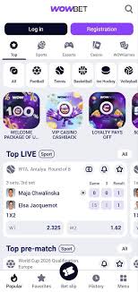 Узнайте о мире азартных игр через платформу wowbet