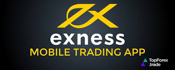 Understanding Exness Financial Statements A Guide for Investors